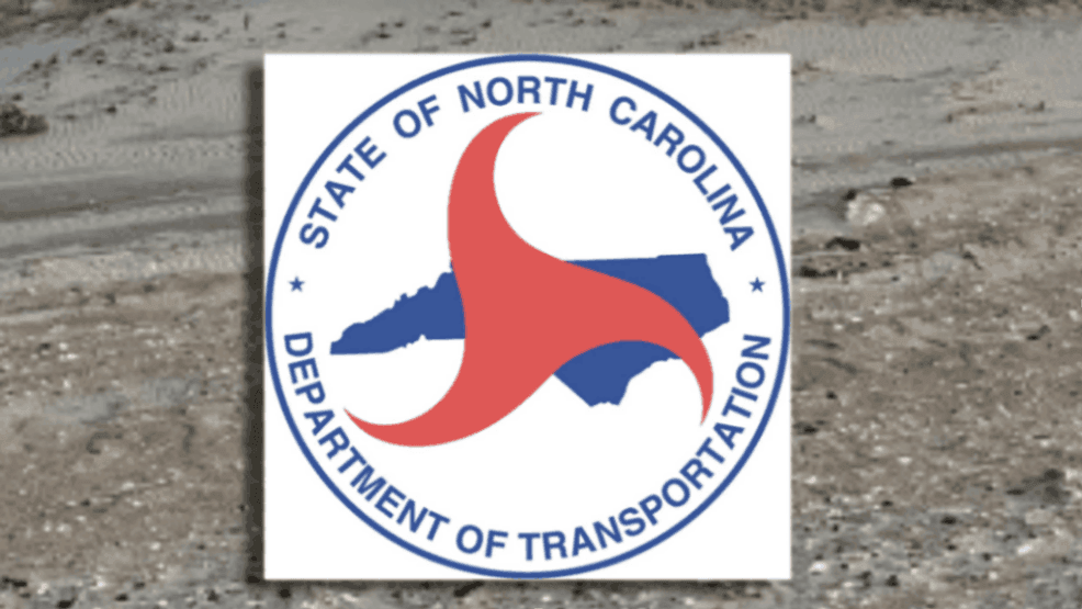 North Carolina’s New Wildlife Crossing Plan Aims to Protect Drivers and Animals