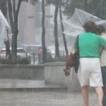 Torrential rain causes tree falls and car crashes nationwide