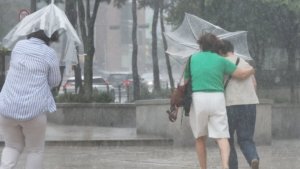 Torrential rain causes tree falls and car crashes nationwide