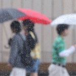 Heavy Rain and Strong Winds Impact South Korea’s Gangwon Mountains
