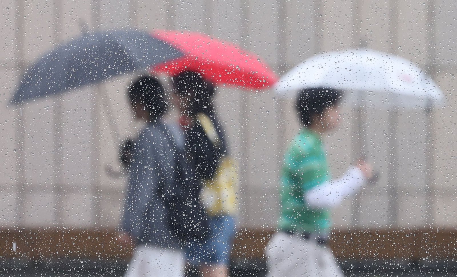 Heavy Rain and Strong Winds Impact South Korea’s Gangwon Mountains