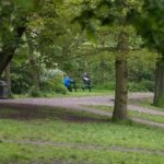 Police Hunt for Abducted 4-Year-Old in Park Tragedy