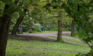 Police Hunt for Abducted 4-Year-Old in Park Tragedy