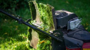 I Stopped Scraping Wet Grass Off My Mower Deck With This One Simple Hack