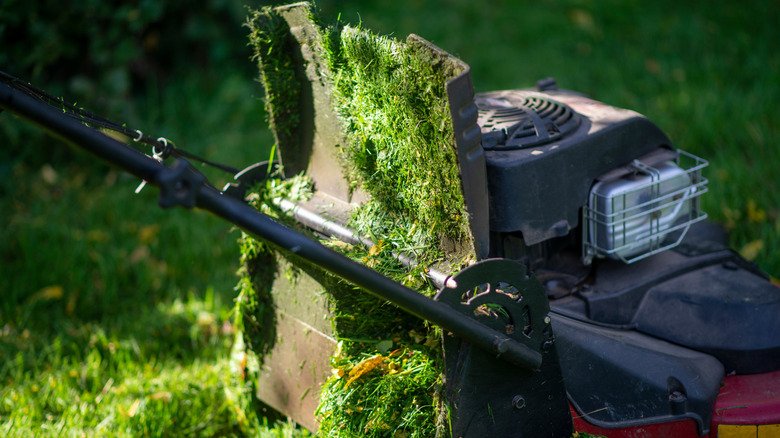 I Stopped Scraping Wet Grass Off My Mower Deck With This One Simple Hack