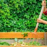 Stop Throwing Away Your Apple Cores! This Simple Composting Hack Will Transform Your Garden