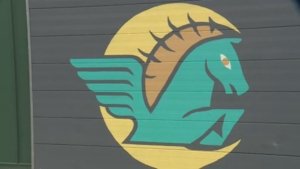 Madison Night Mares Name New Coach