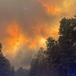 The Heartbreaking Reality for Colorado Families Displaced by the Devastating Aspen Acres Fire