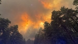 The Heartbreaking Reality for Colorado Families Displaced by the Devastating Aspen Acres Fire