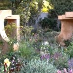The 7 Best Fast-Growing Flowers to Plant in July for a Stunning Fall Garden