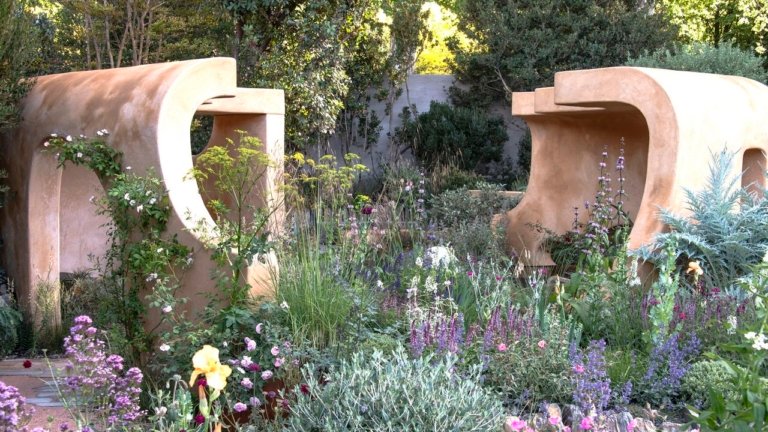 The 7 Best Fast-Growing Flowers to Plant in July for a Stunning Fall Garden