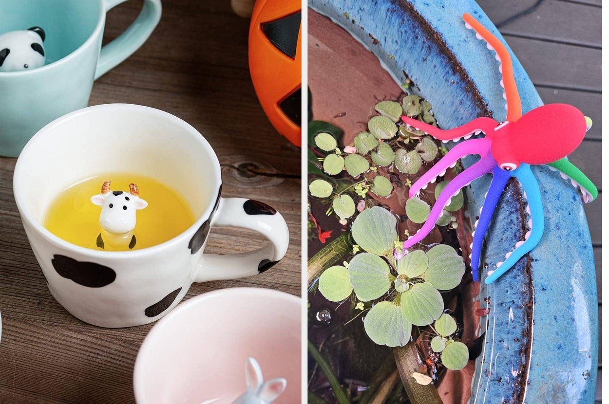 26 Adorable Moments That Will Make You Squeal