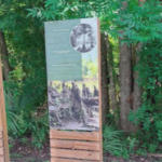 Chipola River Park Offers 0 Reward for Lost Signs