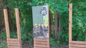 Chipola River Park Offers 0 Reward for Lost Signs