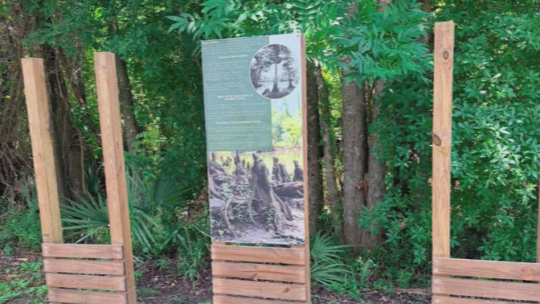 Chipola River Park Offers 0 Reward for Lost Signs