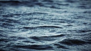 3-Year-Old Dies After Drowning in Elk River