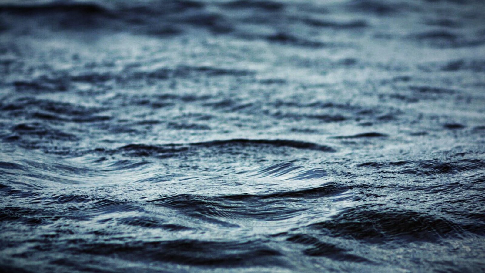 3-Year-Old Dies After Drowning in Elk River