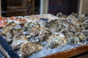 Plastic Pellets Threaten New England’s Oysters, Mussels, and Waterways