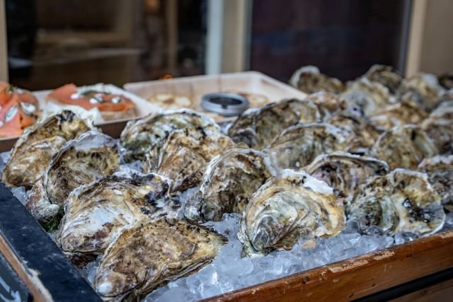 Plastic Pellets Threaten New England’s Oysters, Mussels, and Waterways