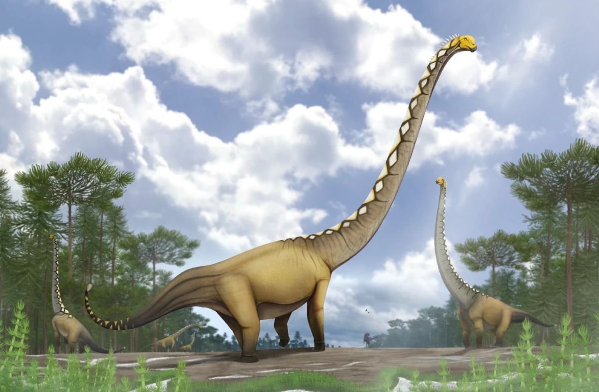 Breakthrough Discovery: Rare Dinosaur Bone Reveals New Long-Necked Species