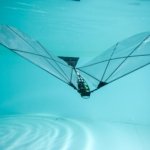 New Robot Dives and Soars Like a Bird
