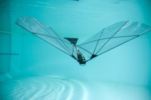 New Robot Dives and Soars Like a Bird