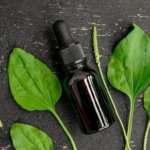 Best natural plants to quickly relieve mosquito bites