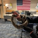 Did Your Snake Go Missing? Auburn PD Might Know
