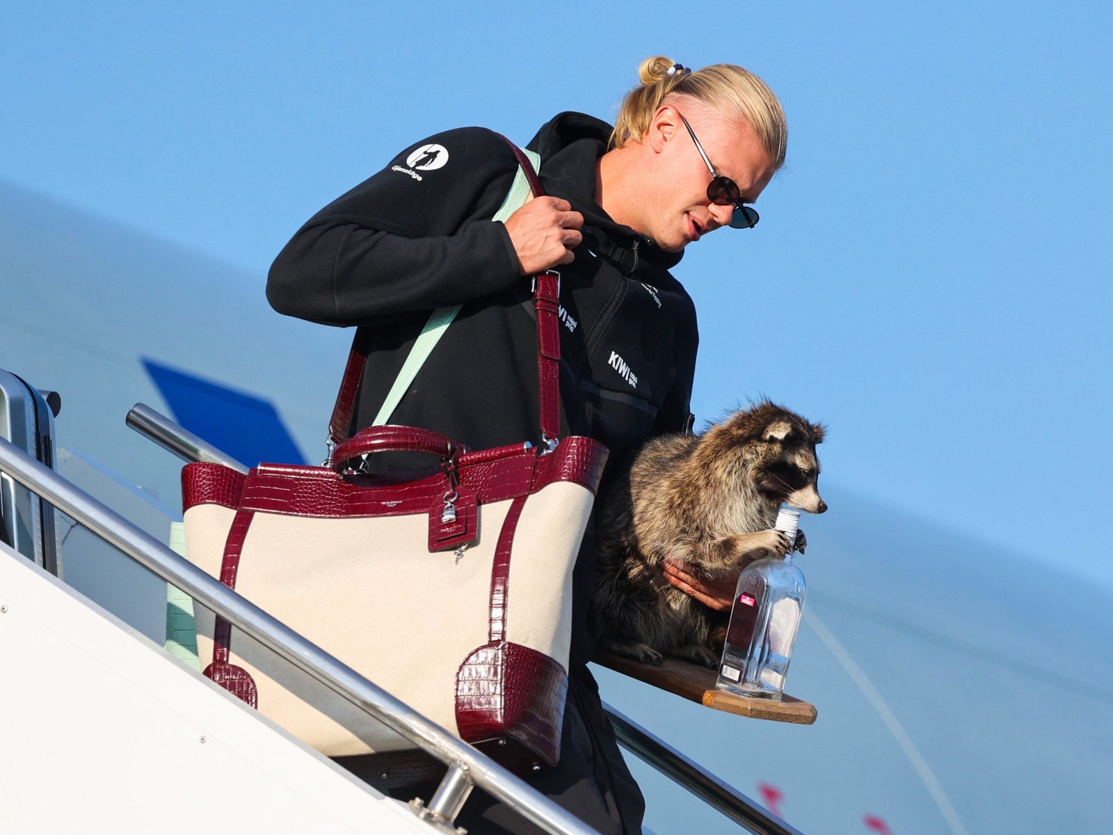 Erling Haaland’s 0 Taxidermy Raccoon from the World Cup