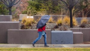 Unusual Rain Forecast for Boise: How Much Will Fall?