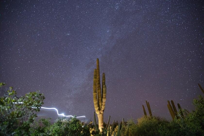 Astronomers Discover Sugar in the Cosmic Void
