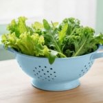 How to Clean Salad Greens to Avoid Food Poisoning (Plus When to Blanch)
