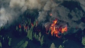 NWS Issues Critical Fire Alert for Olympics and West Cascades