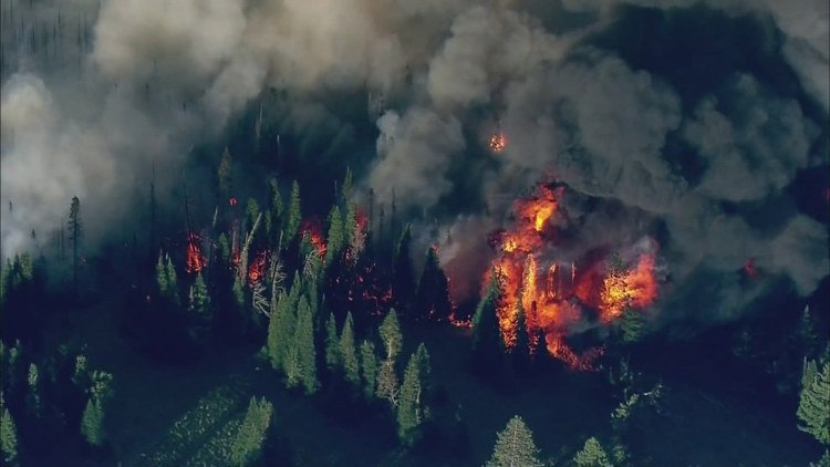 NWS Issues Critical Fire Alert for Olympics and West Cascades