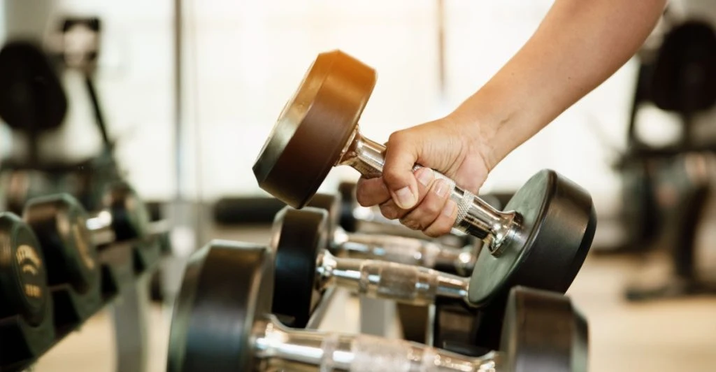 British Heart Foundation Funds Muscle Health Research