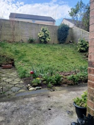 Homeowner turns steep hill into beautiful garden with free materials