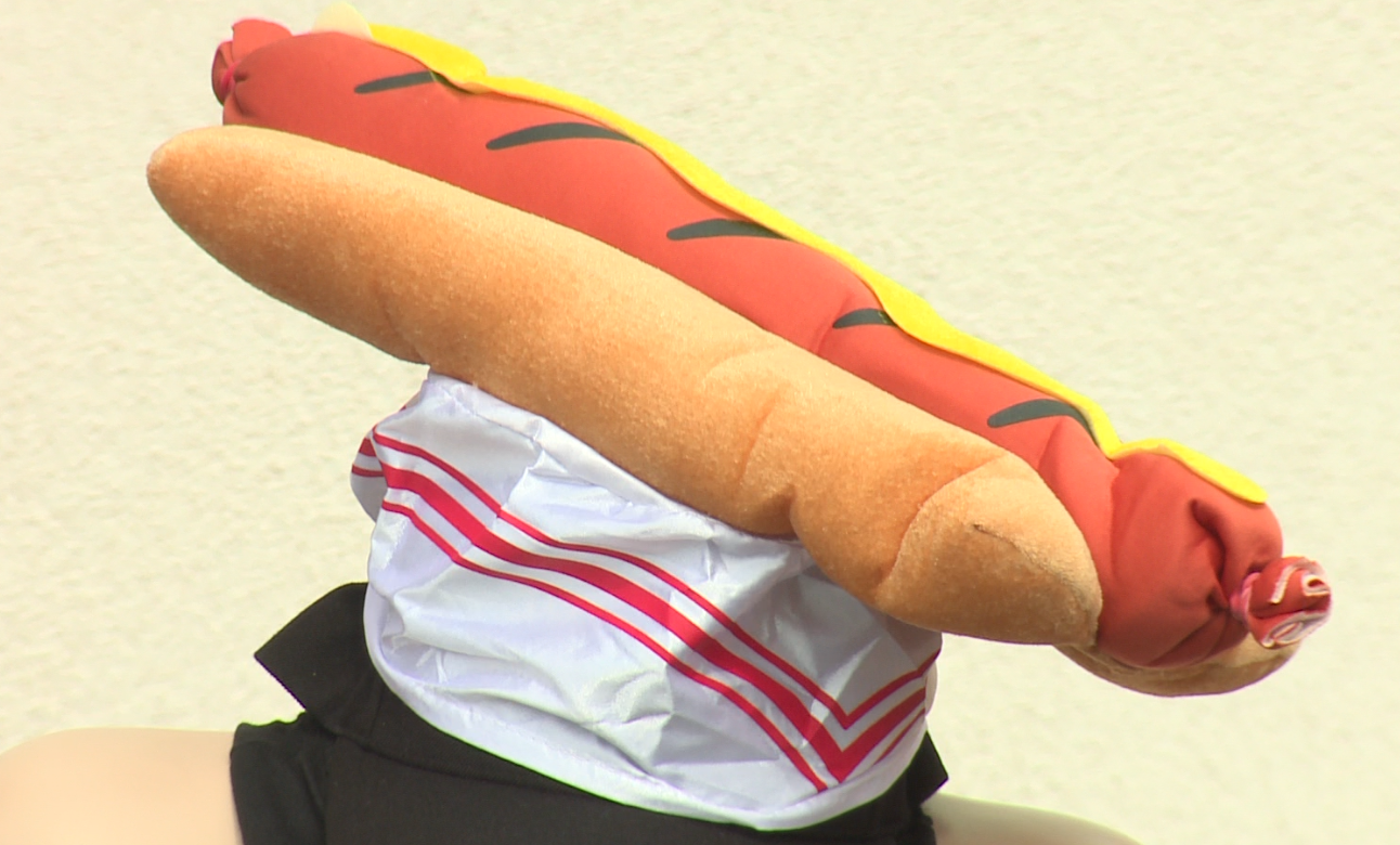 Hot Dog Celebration Marks 250 Years of American Tradition