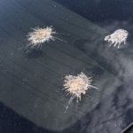 How to Remove Stains from Car Windows Without Scratching the Glass