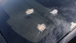 How to Remove Stains from Car Windows Without Scratching the Glass