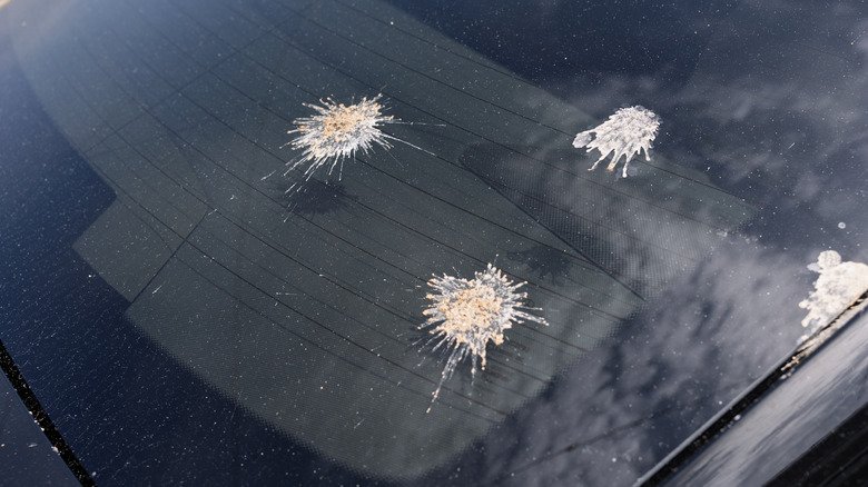 How to Remove Stains from Car Windows Without Scratching the Glass