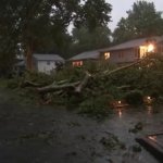 Severe storms flood New Jersey, uproot trees, and cut power