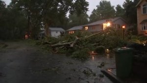 Severe storms flood New Jersey, uproot trees, and cut power