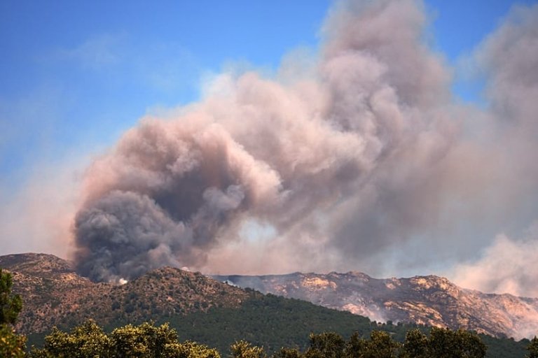 Over 320,000 Evacuated in France and Spain as Wildfires Escalate